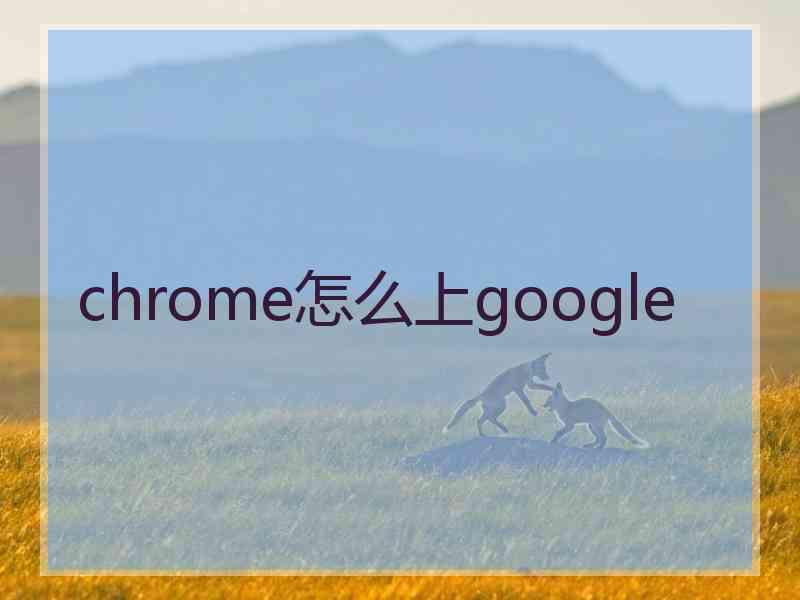 chrome怎么上google