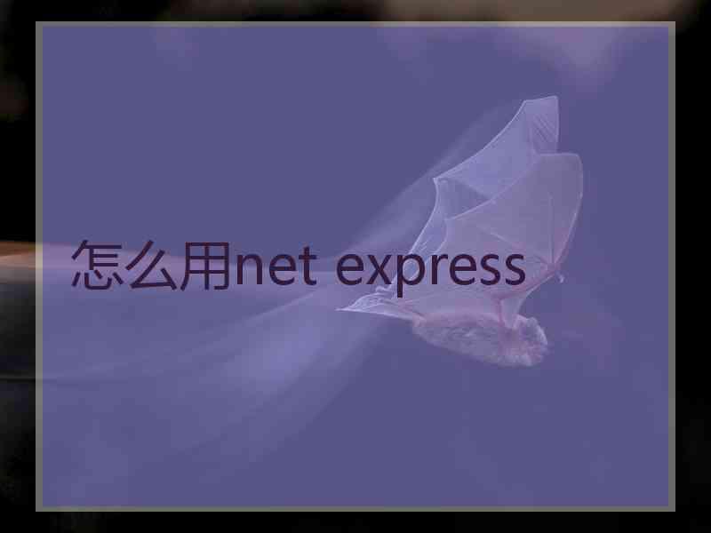 怎么用net express