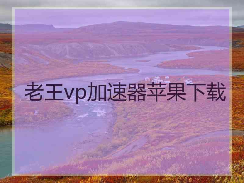 老王vp加速器苹果下载