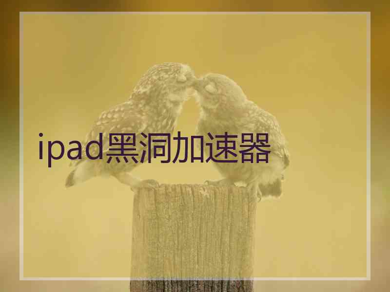 ipad黑洞加速器