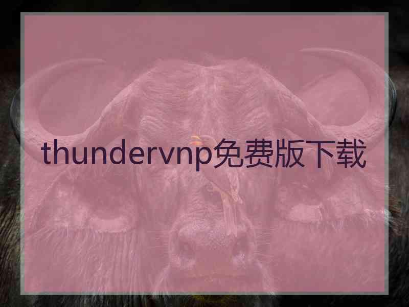 thundervnp免费版下载