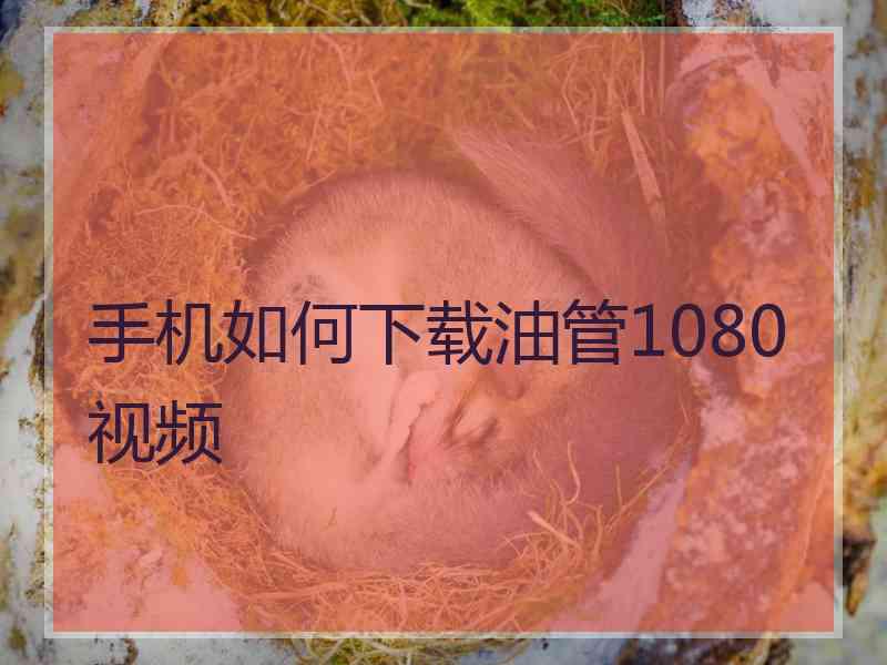 手机如何下载油管1080视频