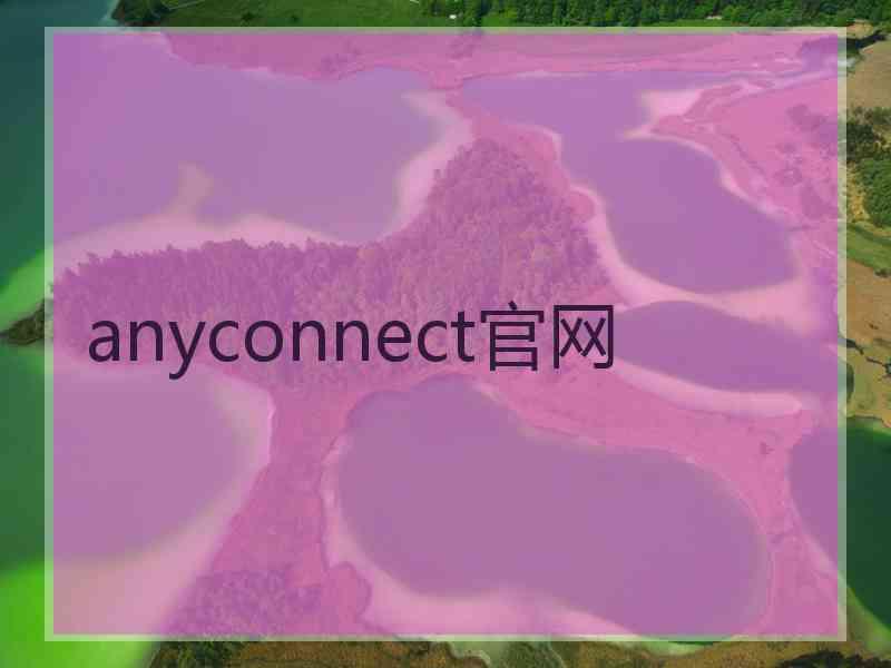 anyconnect官网