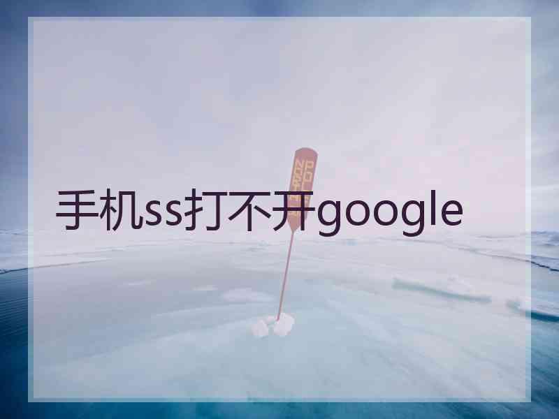 手机ss打不开google