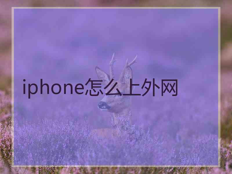 iphone怎么上外网