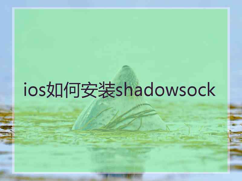 ios如何安装shadowsock