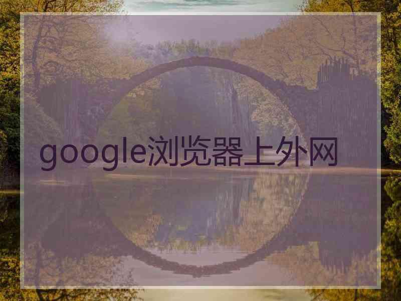 google浏览器上外网