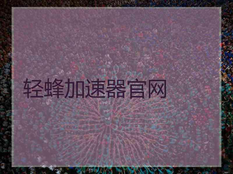 轻蜂加速器官网