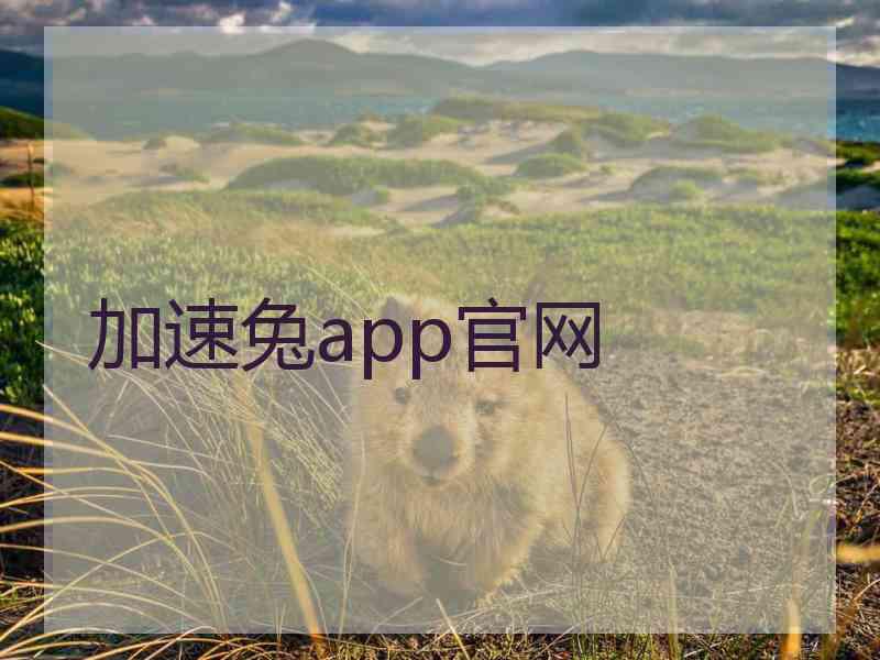 加速兔app官网