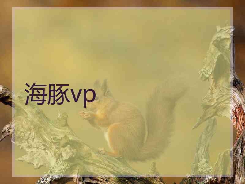 海豚vp