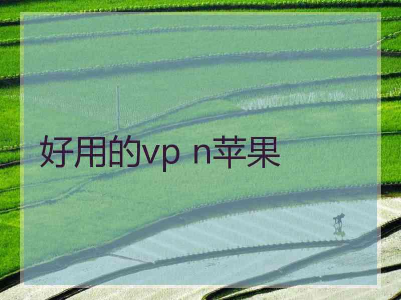 好用的vp n苹果