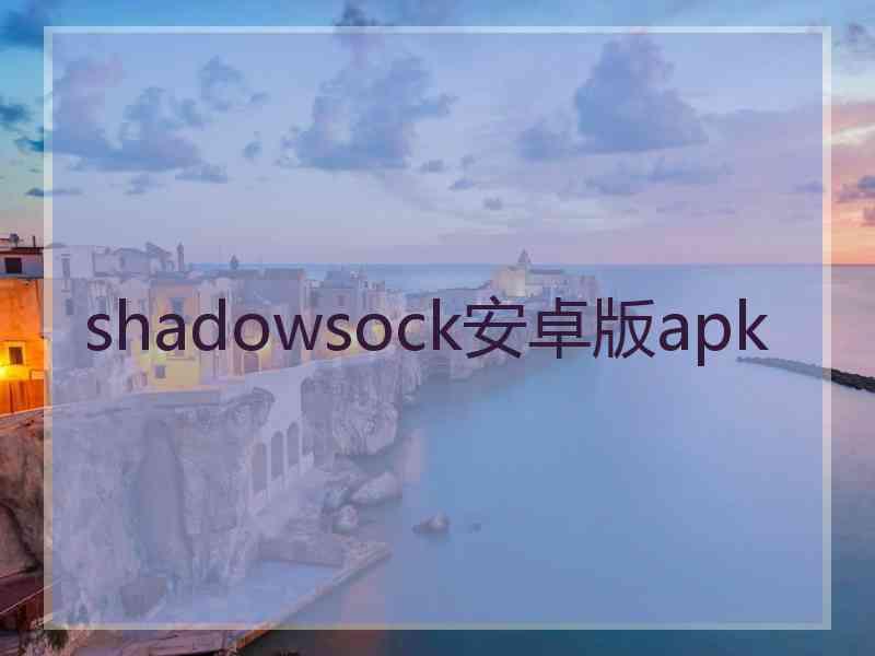 shadowsock安卓版apk