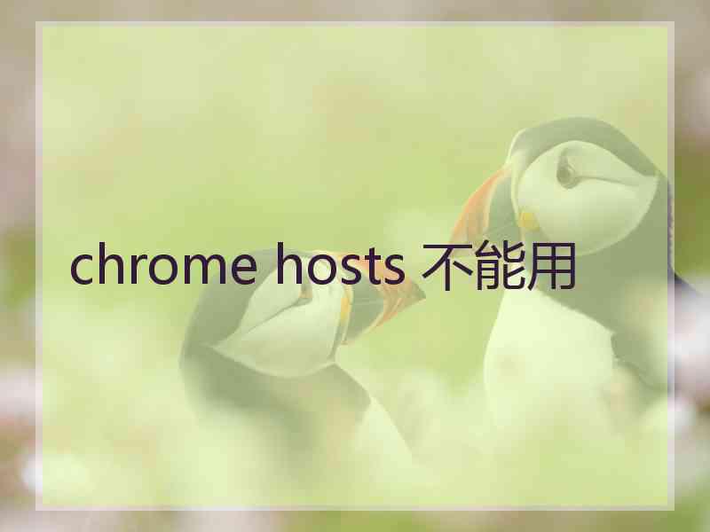 chrome hosts 不能用