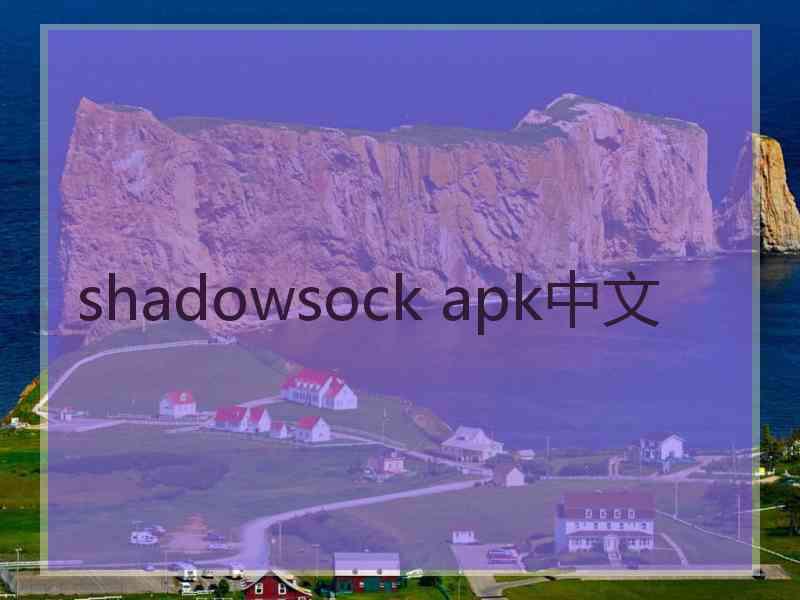 shadowsock apk中文