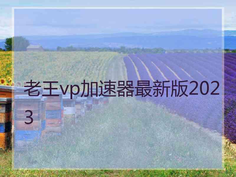 老王vp加速器最新版2023