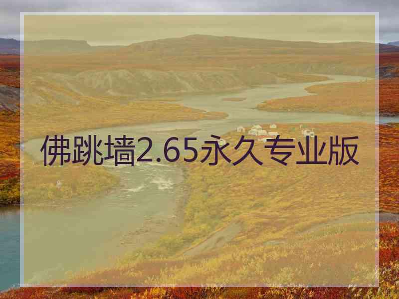 佛跳墙2.65永久专业版