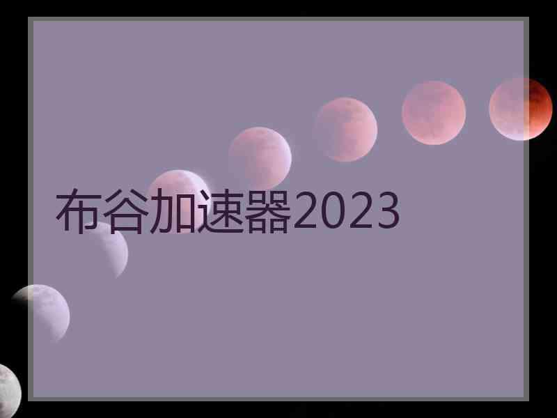 布谷加速器2023