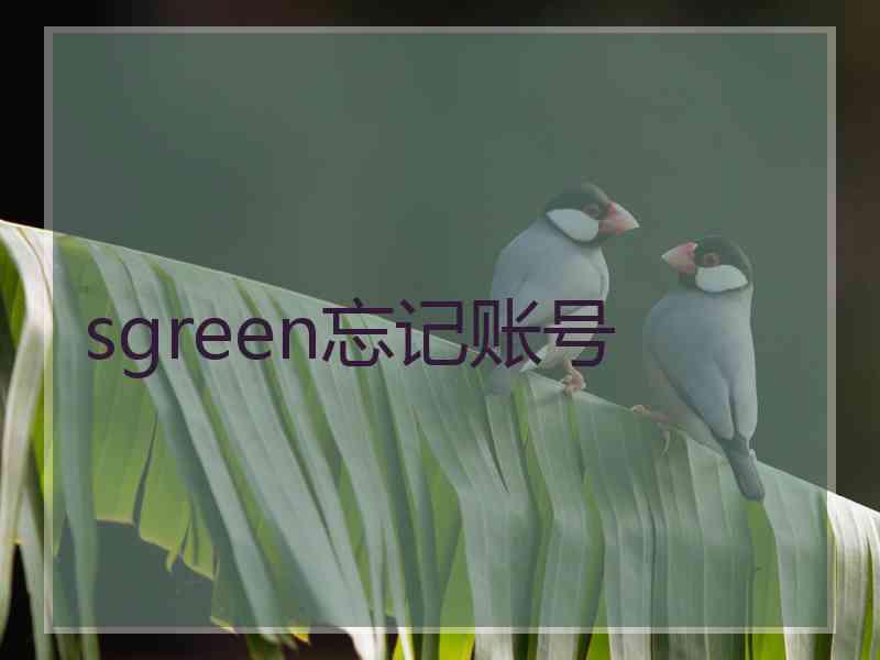 sgreen忘记账号