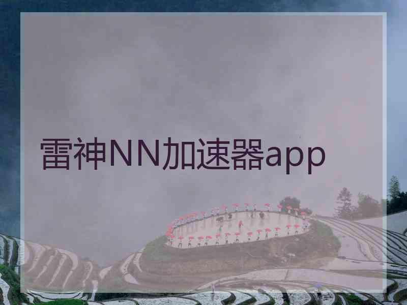 雷神NN加速器app