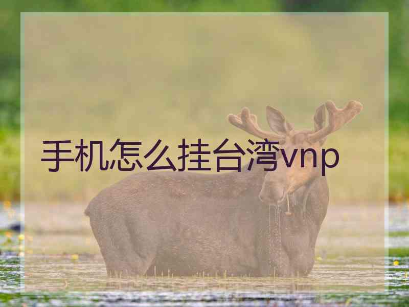 手机怎么挂台湾vnp