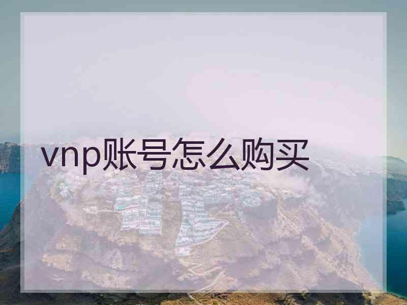 vnp账号怎么购买