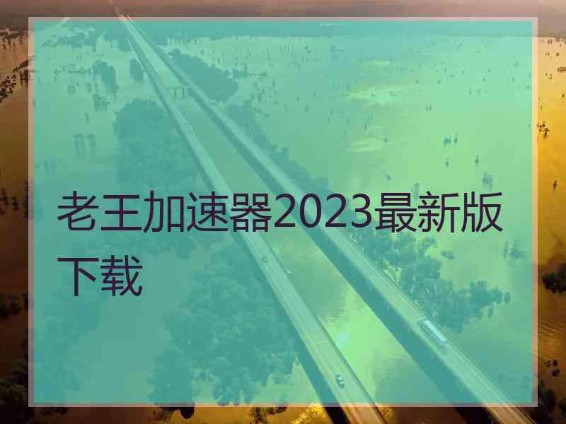 老王加速器2023最新版下载