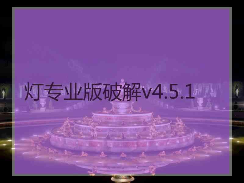 灯专业版破解v4.5.1