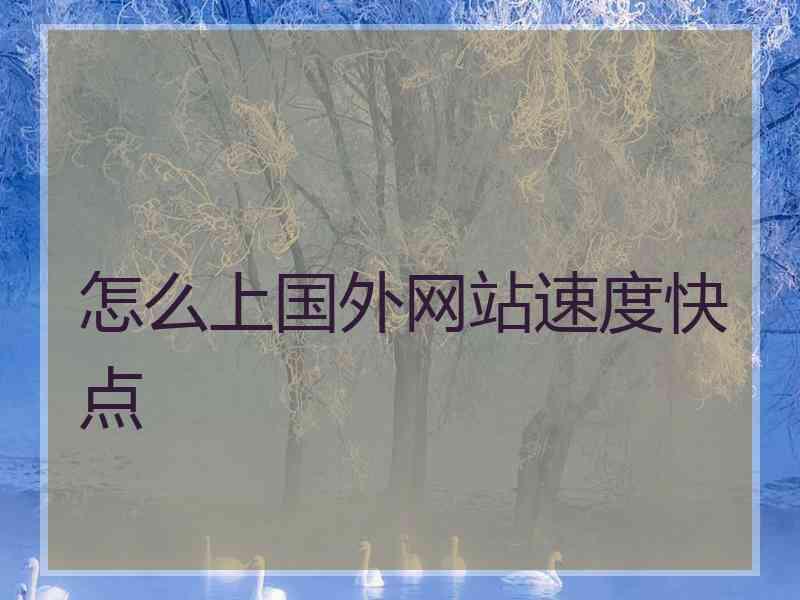 怎么上国外网站速度快点