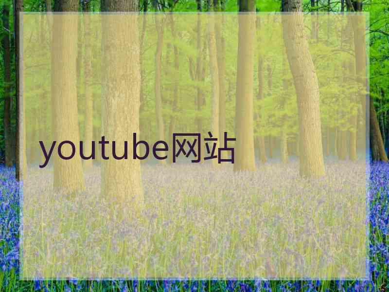 youtube网站