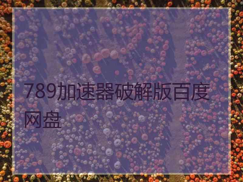 789加速器破解版百度网盘