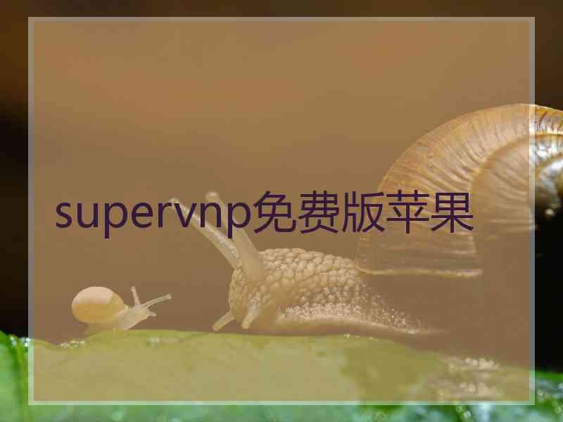 supervnp免费版苹果