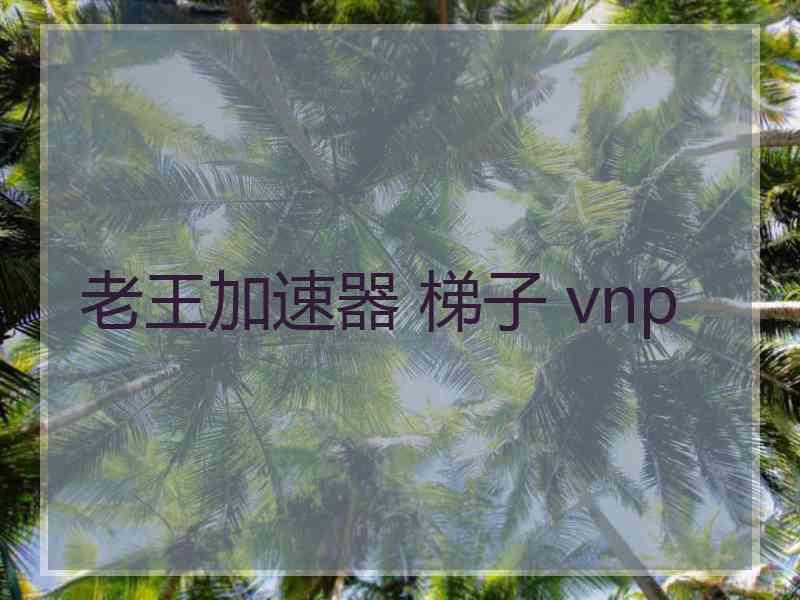 老王加速器 梯子 vnp