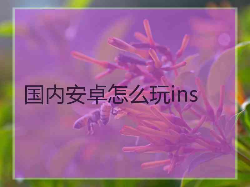 国内安卓怎么玩ins