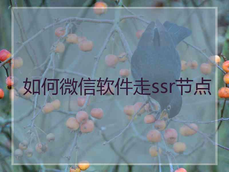 如何微信软件走ssr节点