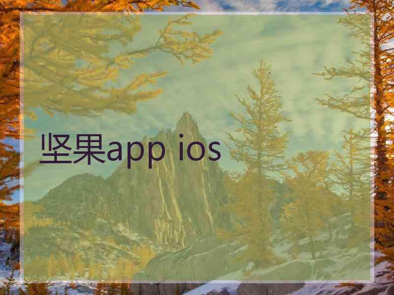 坚果app ios