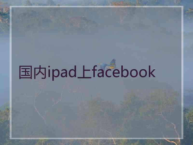 国内ipad上facebook