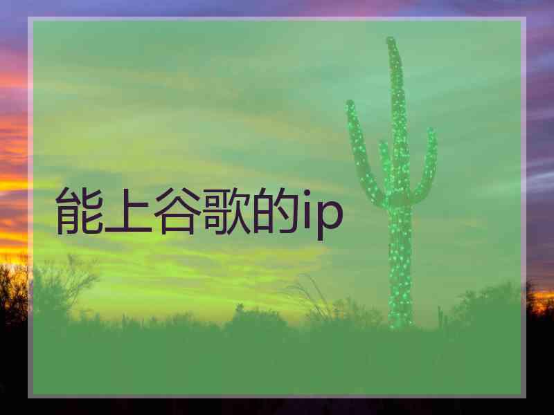 能上谷歌的ip