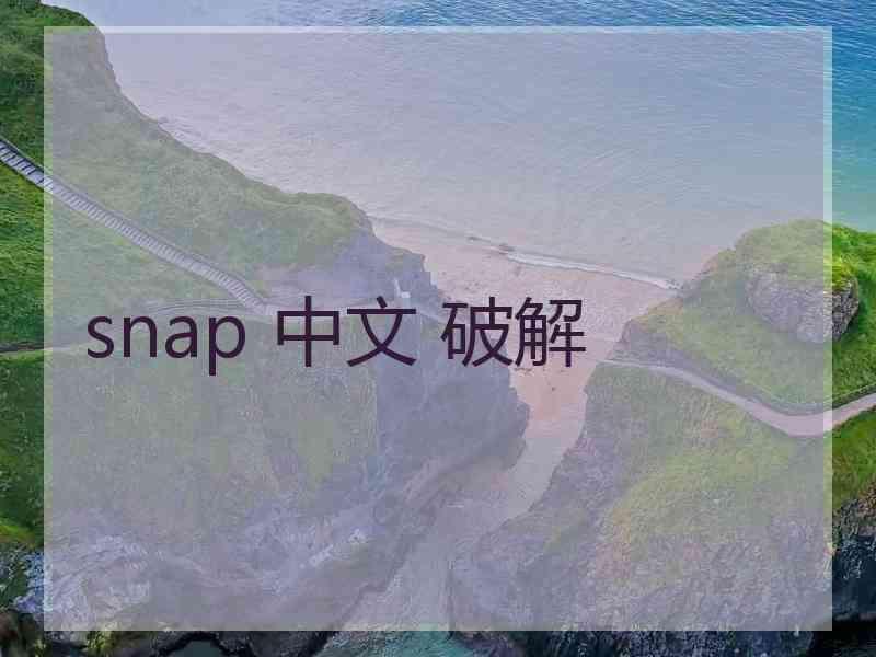 snap 中文 破解