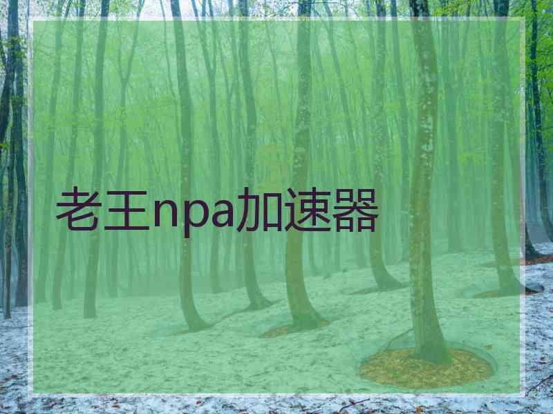 老王npa加速器