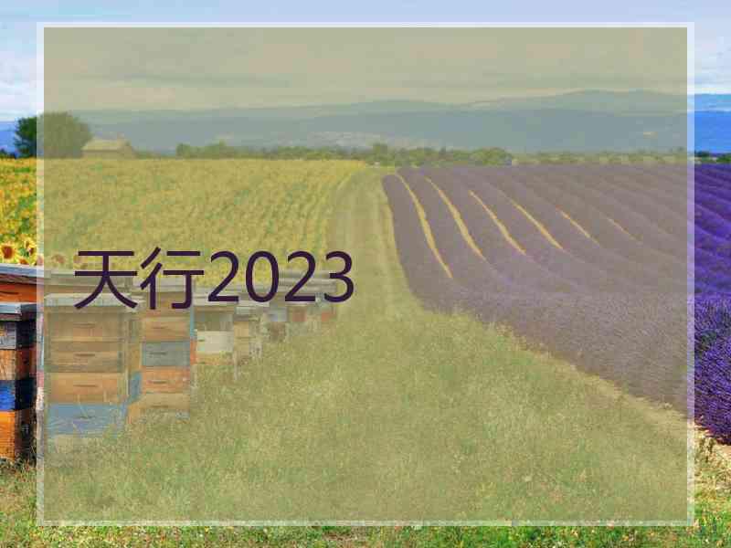 天行2023