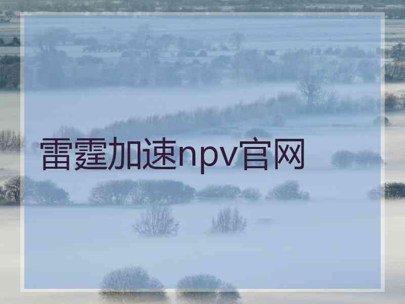 雷霆加速npv官网