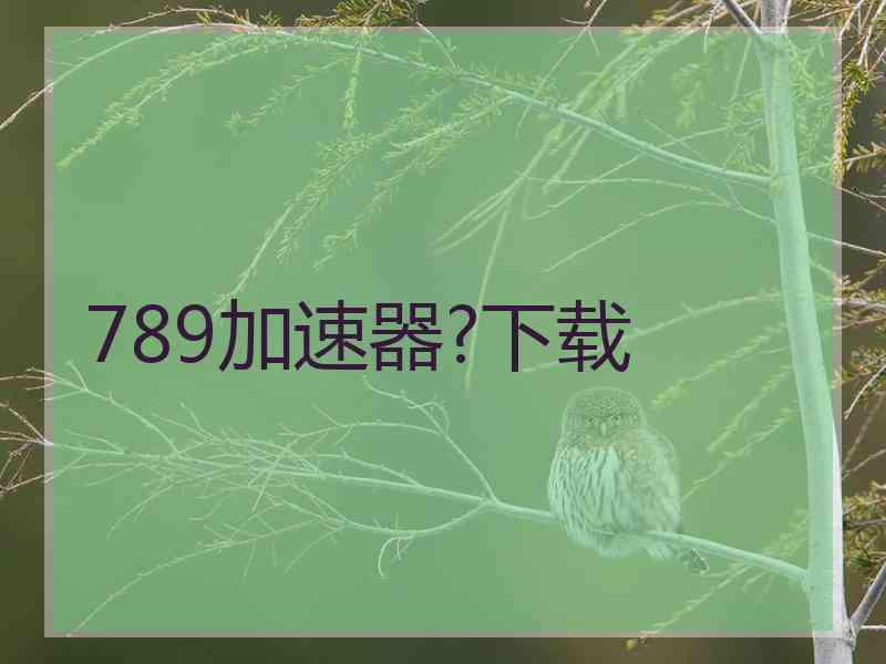 789加速器?下载