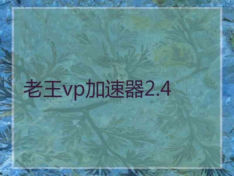 老王vp加速器2.4