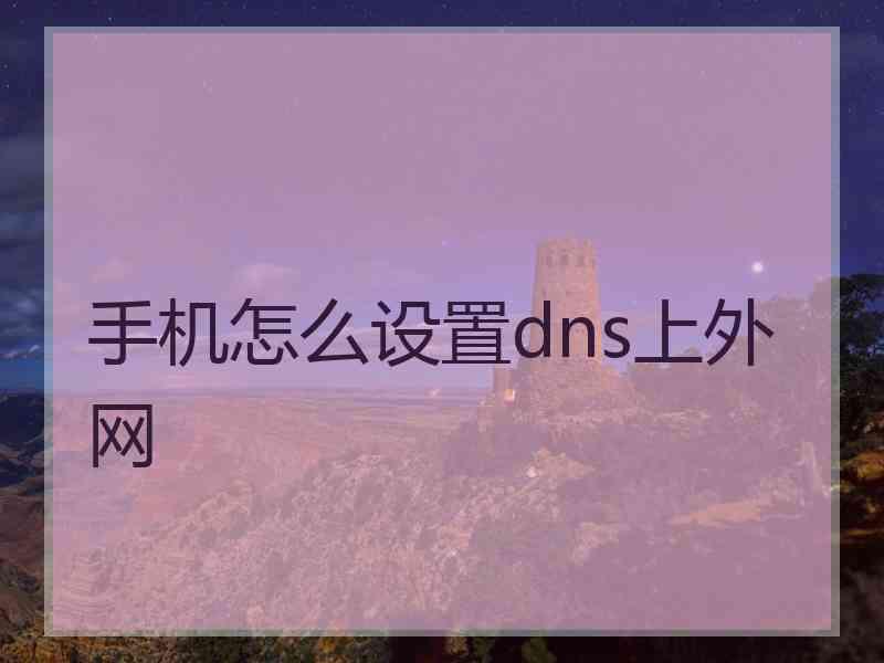 手机怎么设置dns上外网