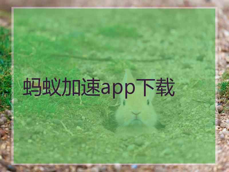 蚂蚁加速app下载