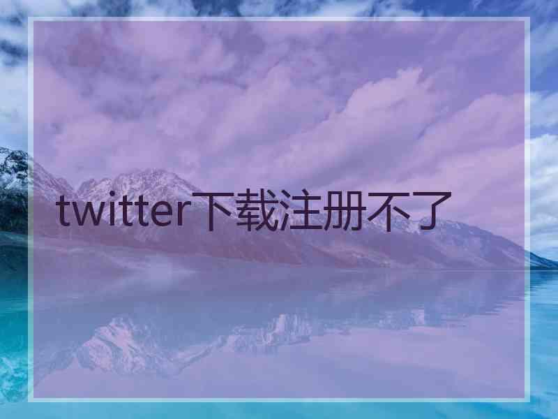 twitter下载注册不了