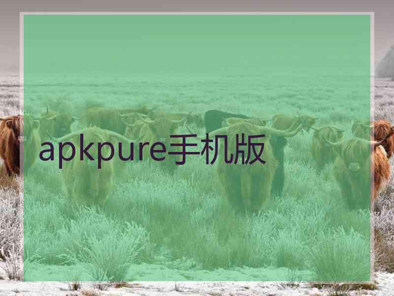 apkpure手机版