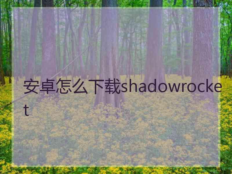 安卓怎么下载shadowrocket