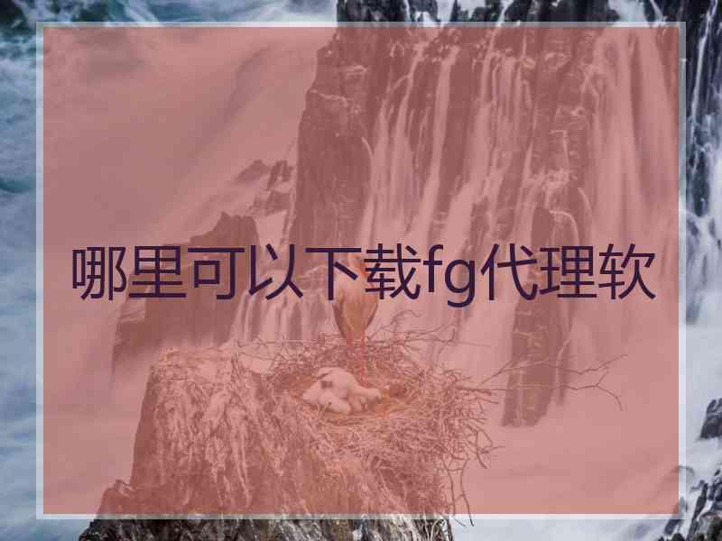 哪里可以下载fg代理软