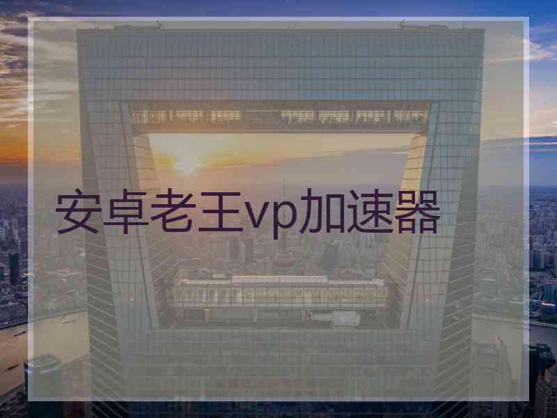 安卓老王vp加速器